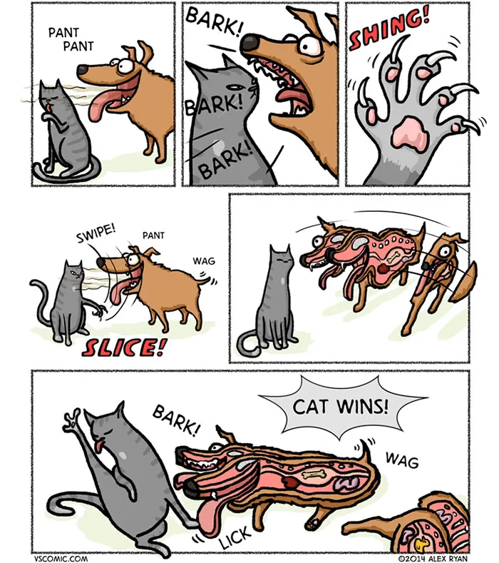 Cat and dog cartoon showing the cat scratching and beating a dog, highlighting their differences humorously.