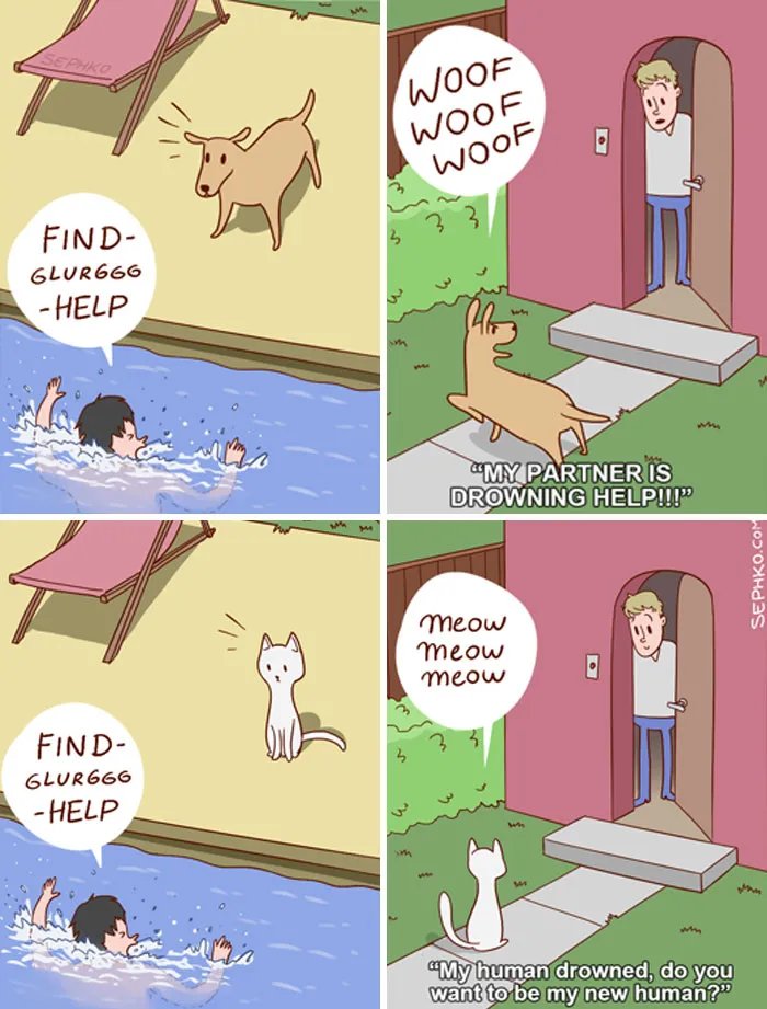 66 Hilarious Differences Between Cats And Dogs