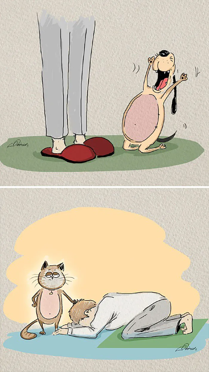 Cartoon showing differences between cats and dogs: dog excitedly greeting owner, cat smug beside bowing person.
