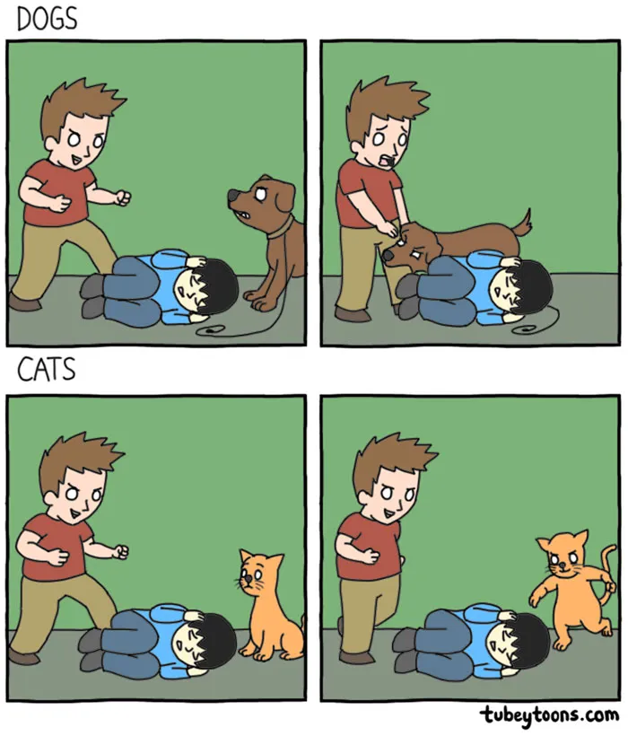 66 Hilarious Differences Between Cats And Dogs