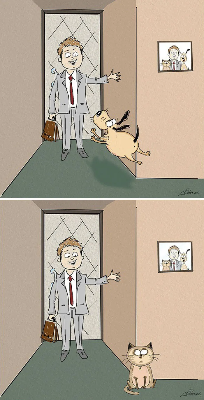 Man greeted by excited dog and indifferent cat, illustrating differences between cats and dogs.