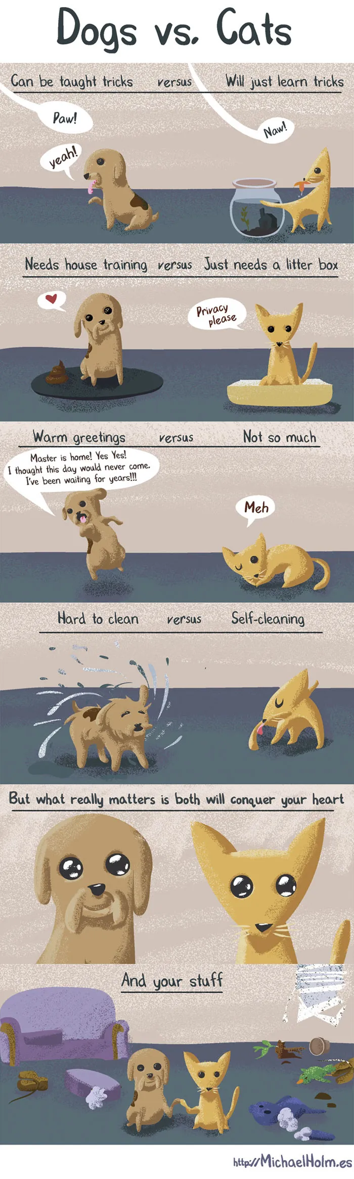 66 Hilarious Differences Between Cats And Dogs