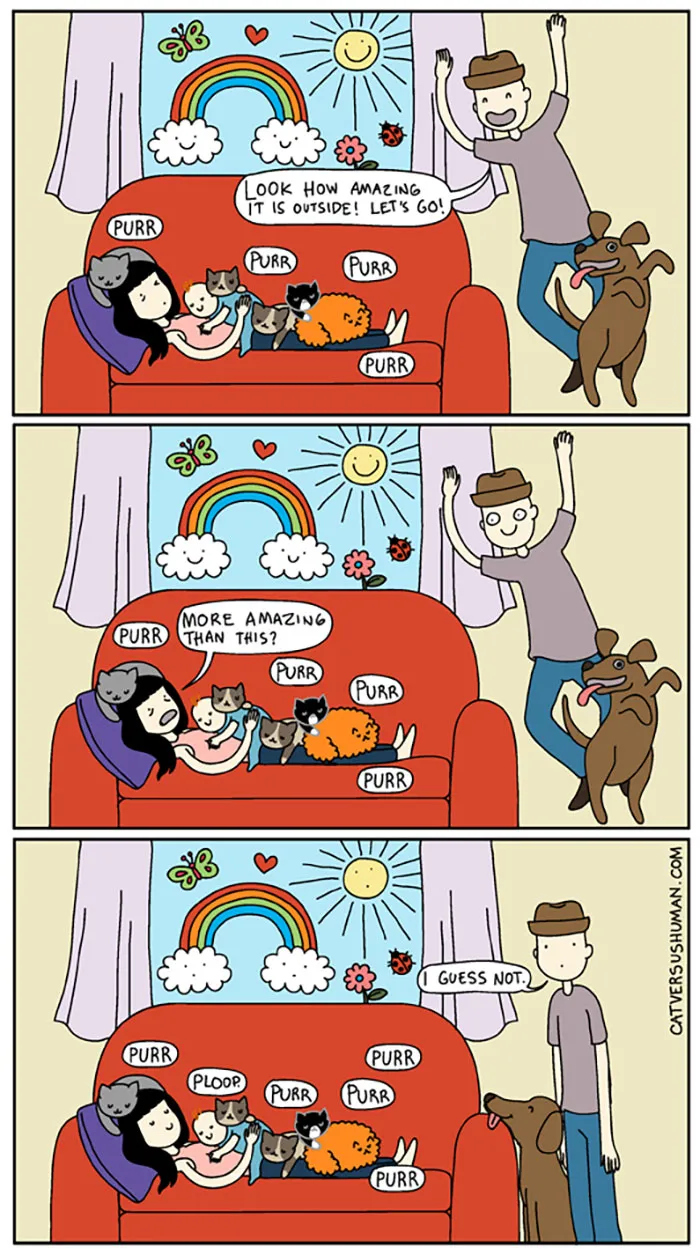 Cartoon showing funny differences: cats lounging indoors purring, while a person and dog excited to go outside.