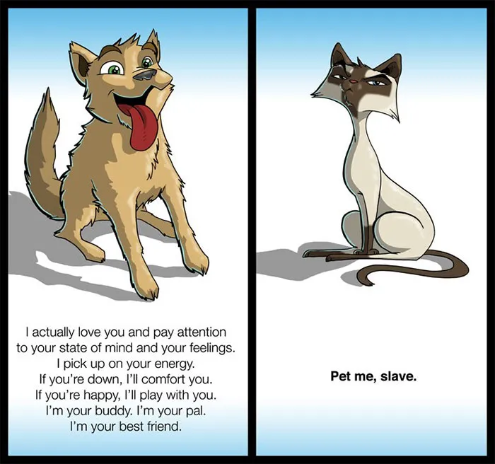 Cartoon cat with aloof expression and cartoon dog with happy demeanor highlighting differences between cats and dogs.