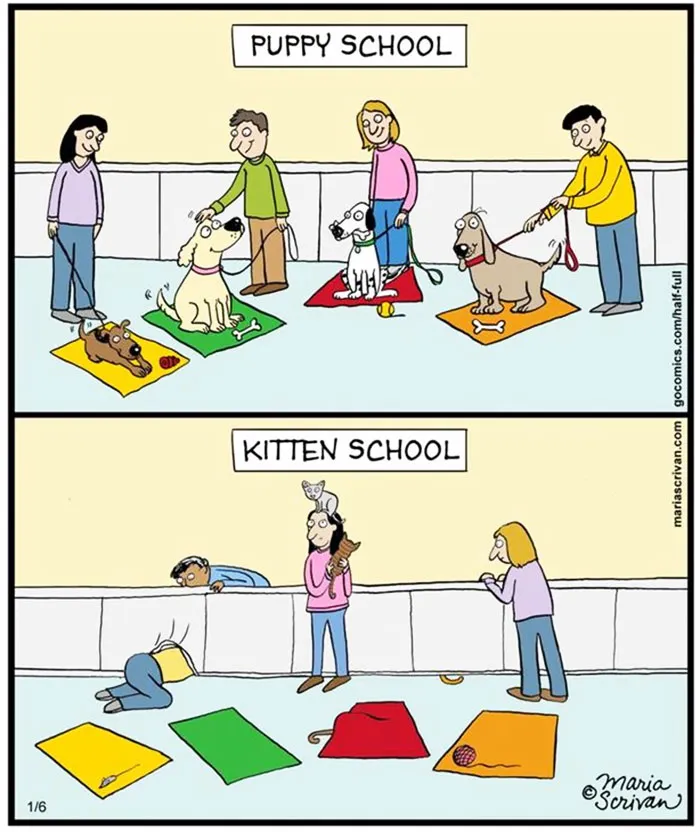 Cartoon showing funny differences between cats and dogs, illustrating a chaotic kitten class and a calm puppy class.