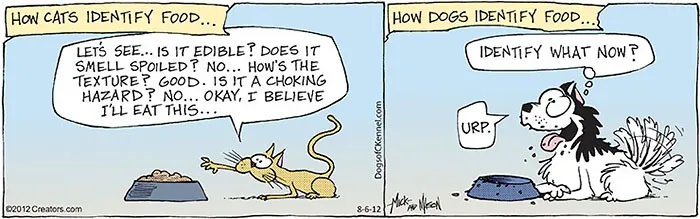Cartoon illustrating differences between cats and dogs: a cat examines food while a dog eagerly eats without hesitation.