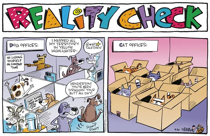 Cartoon depicting differences: dog office with chaos, cats relaxing in boxes in cat office.