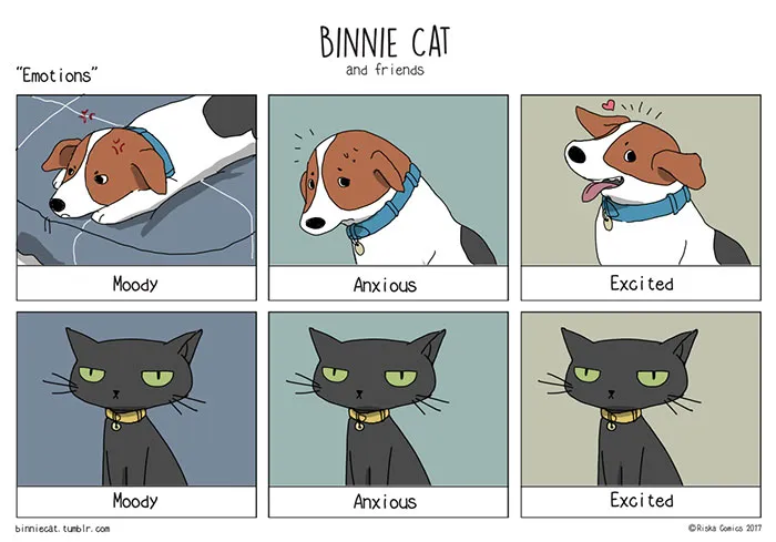 66 Hilarious Differences Between Cats And Dogs