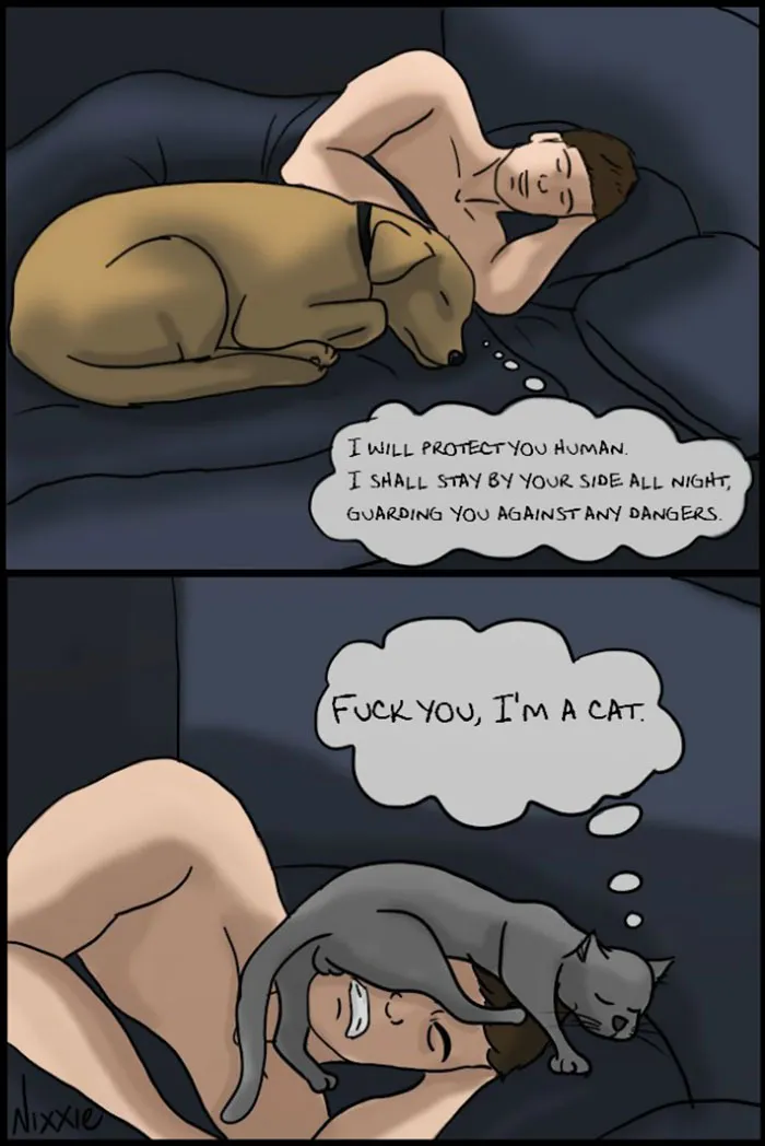 Cartoon shows differences between cats and dogs; dog is protective, cat is indifferent while sleeping on a man's face.