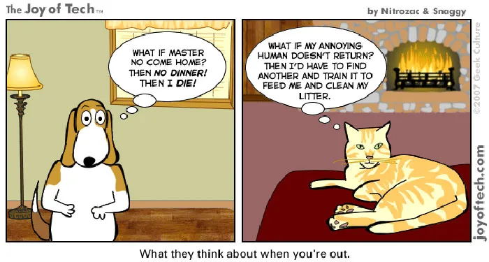 A cartoon shows a dog worrying about dinner and a cat planning for a new human, highlighting differences between cats and dogs.