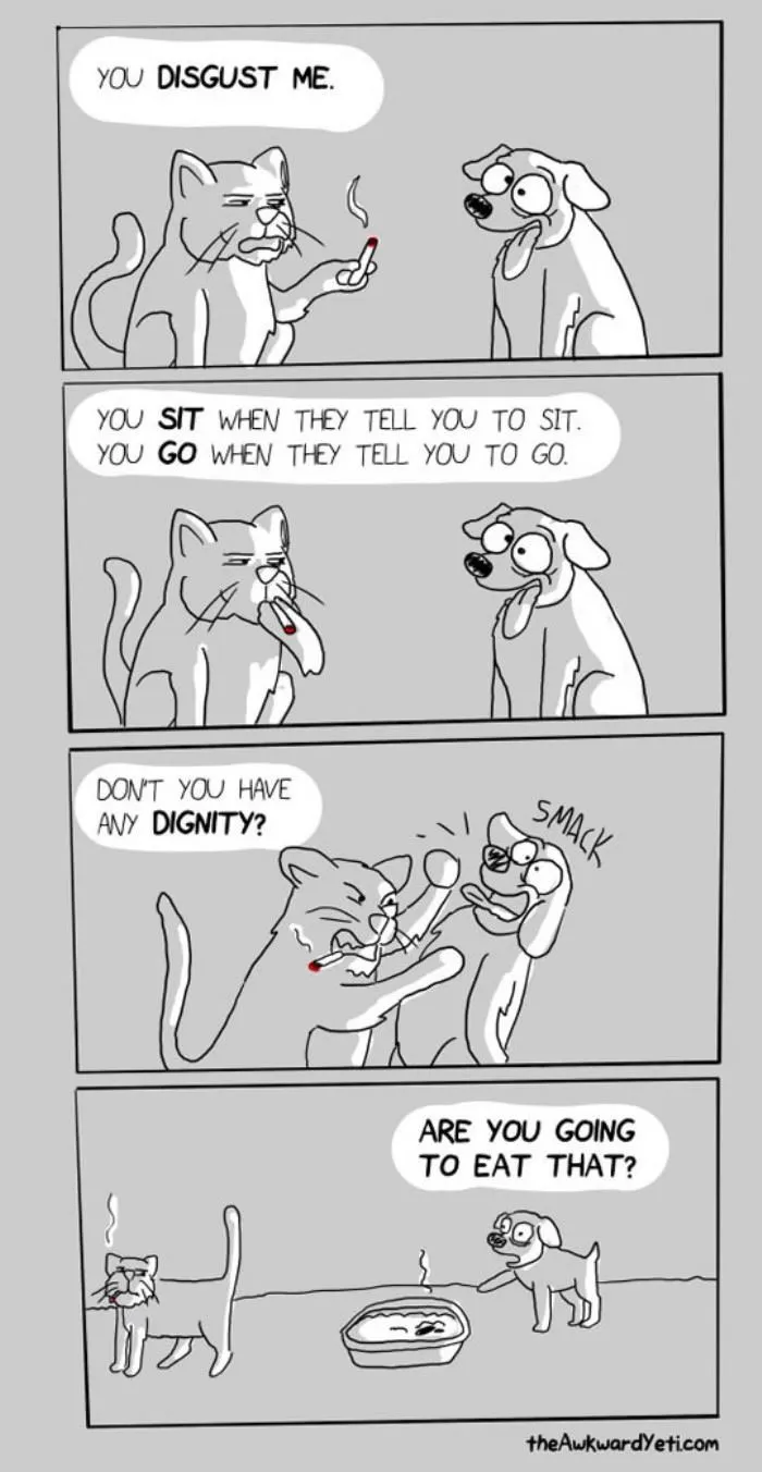 Cat and dog cartoon highlighting hilarious differences in behavior and attitudes.
