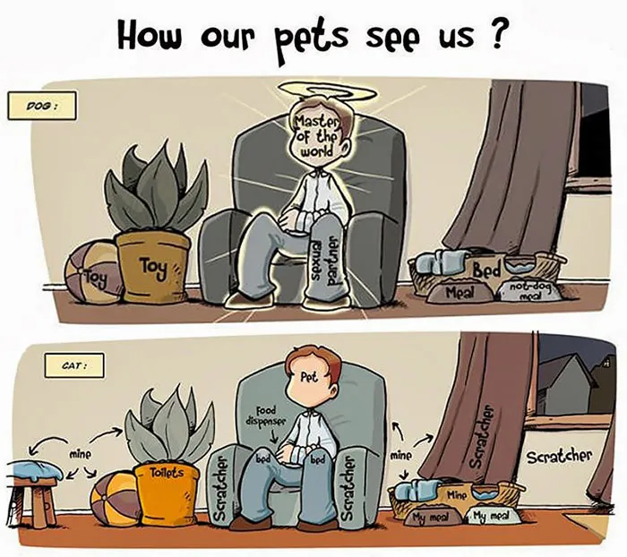Cartoon illustrating differences between cats and dogs and their perceptions of people.