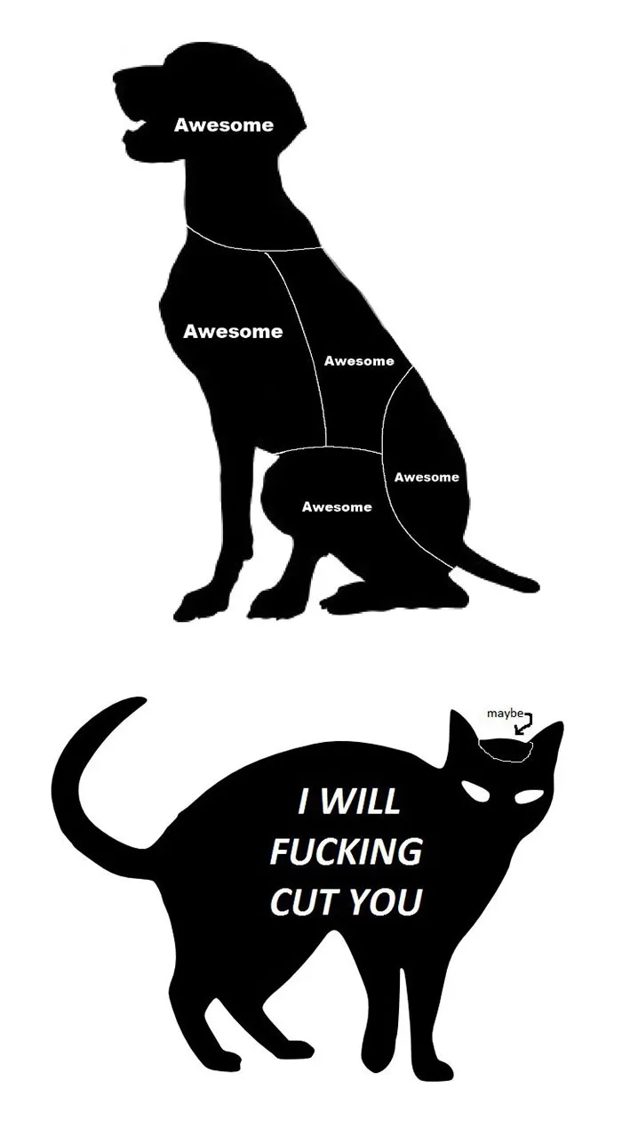 66 Hilarious Differences Between Cats And Dogs