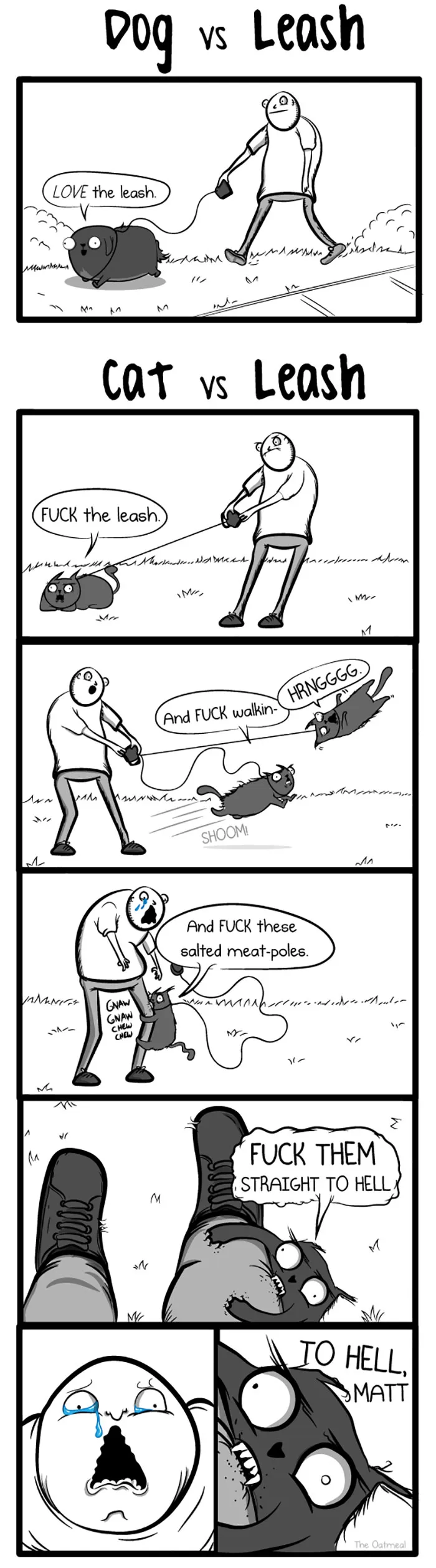 66 Hilarious Differences Between Cats And Dogs