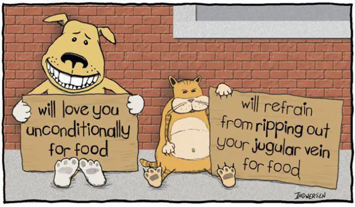 Cartoon showing differences between cats and dogs: a smiling dog holding a sign pledging love and a grumpy cat with a threatening sign.