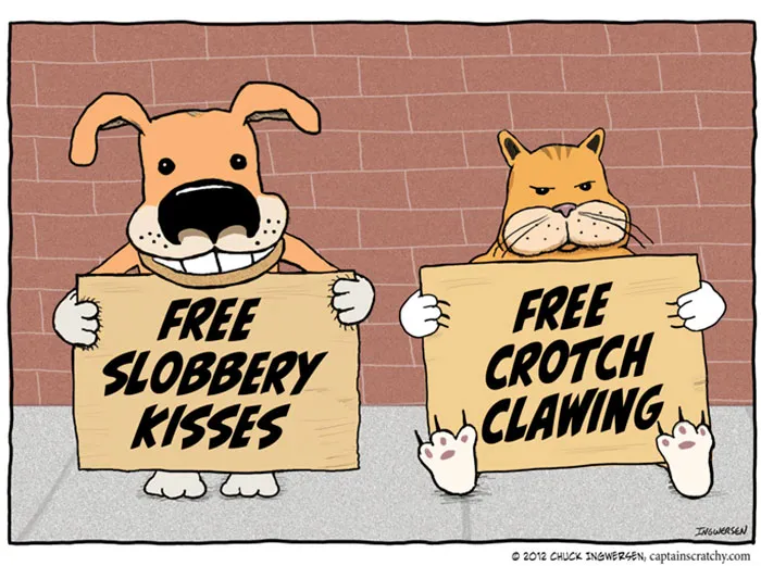 Dog and cat holding humorous signs about slobbery kisses and crotch clawing, highlighting differences.