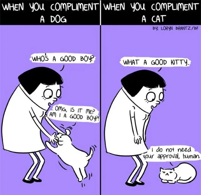 Cartoon showing differences between cats and dogs when complimented; dog is excited, cat is indifferent.