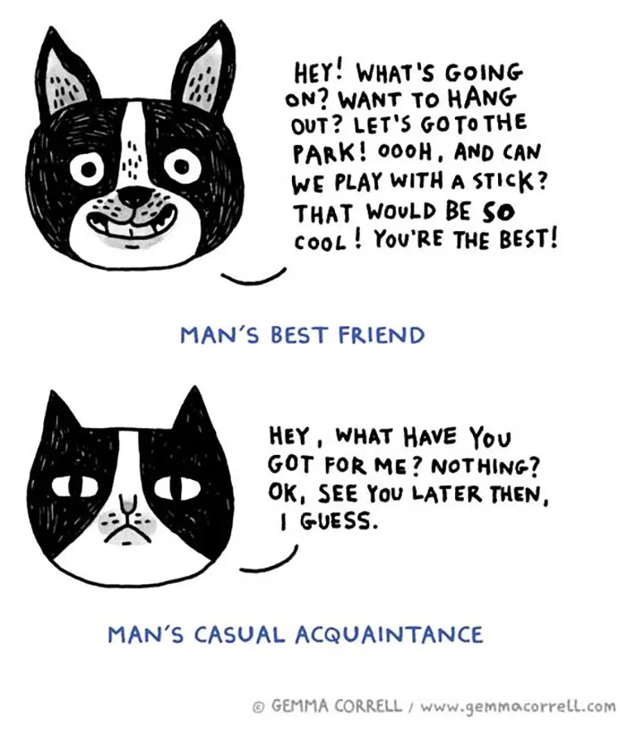 Cartoon illustrating differences between cats and dogs: dog is excited to play; cat is indifferent.