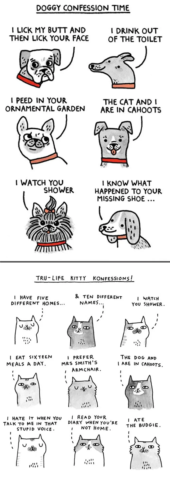 Cartoon illustrating hilarious differences between cats and dogs with humorous confessions.