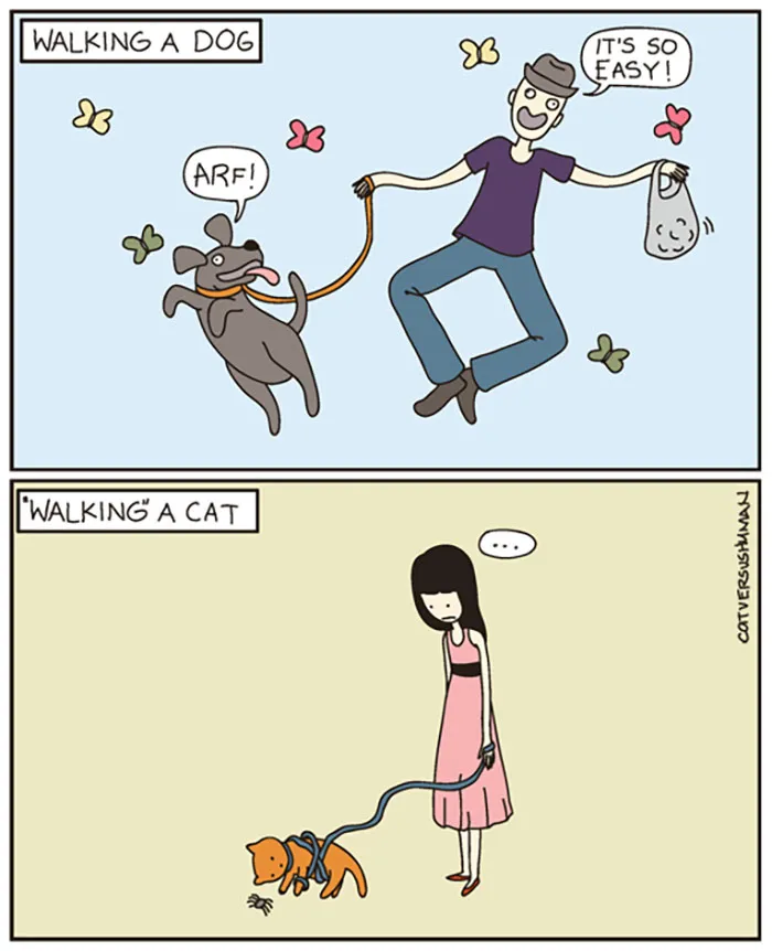 Funny comic illustrating differences between walking a dog and trying to walk a cat.