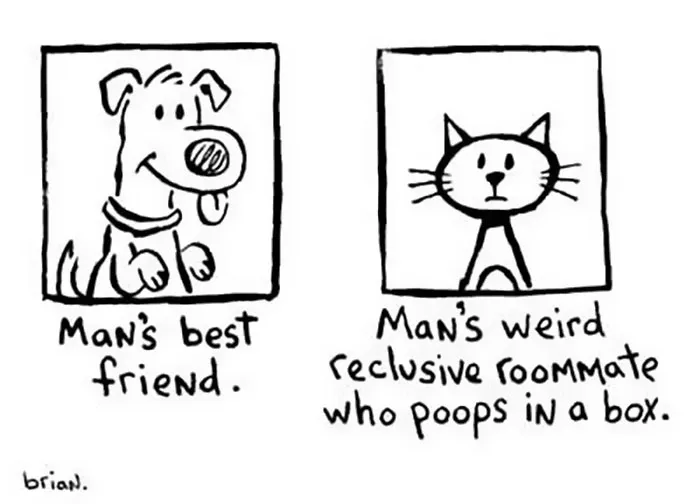 66 Hilarious Differences Between Cats And Dogs