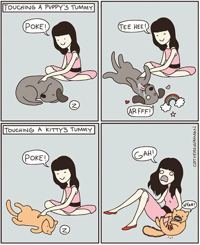 Comic showing differences between dogs and cats when their tummies are touched by a girl.