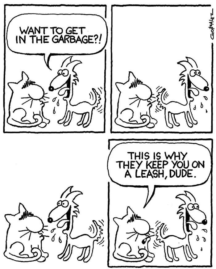Comic strip showing a funny interaction between cats and dogs discussing garbage and leashes.