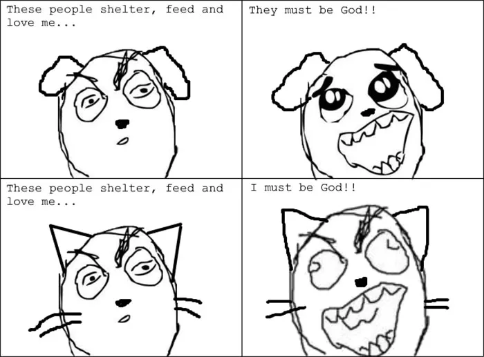 66 Hilarious Differences Between Cats And Dogs