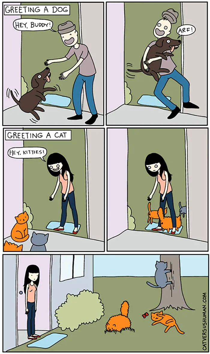 Cartoon showing differences between cats and dogs when greeted; dog excited, cats indifferent.