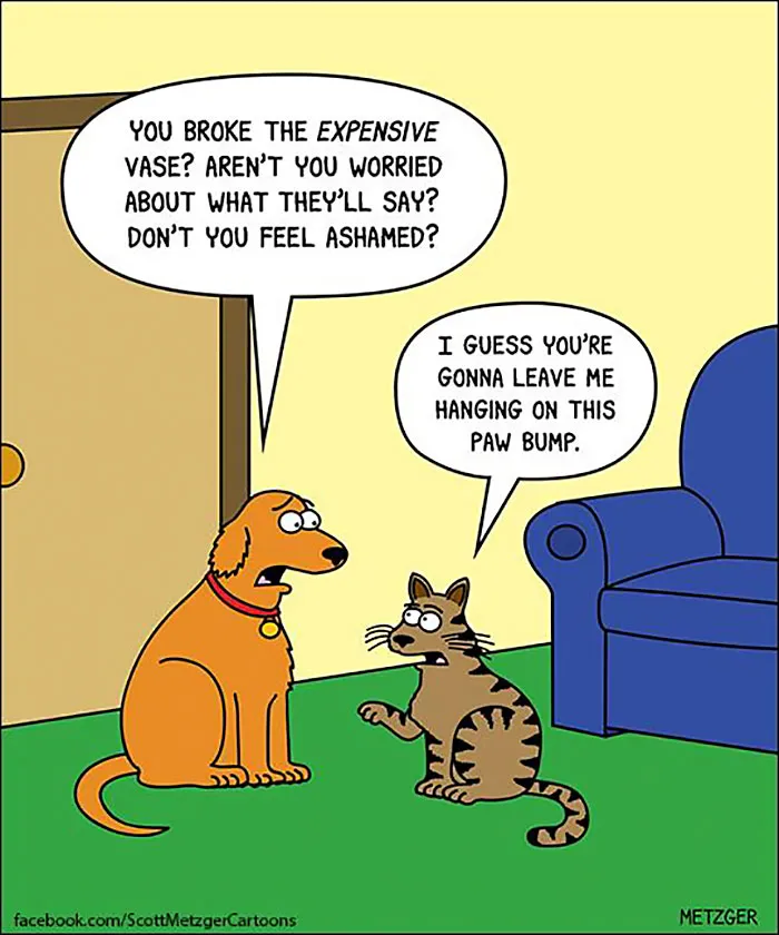 Dog looking worried next to a confident cat initiating a paw bump, illustrating humorous cat and dog differences.