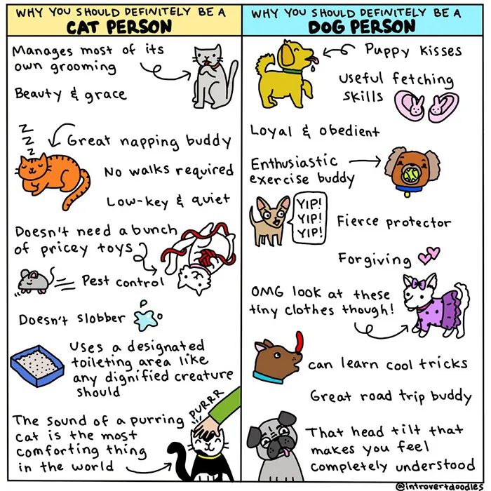 66 Hilarious Differences Between Cats And Dogs