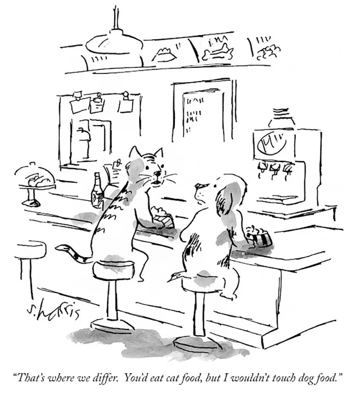 Cat and dog discussing food differences while sitting at a diner counter.