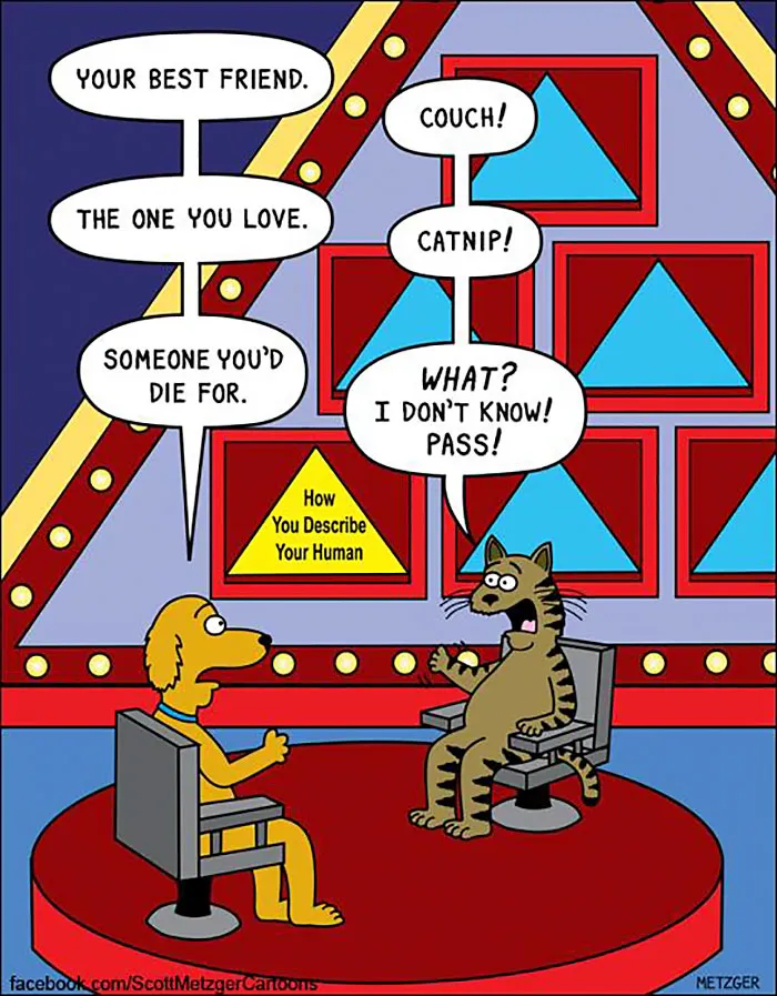 Cartoon showing differences between cats and dogs on a game show; dog answers correctly while cat struggles to respond.