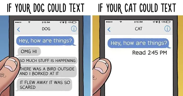 66 Hilarious Differences Between Cats And Dogs