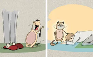 66 Hilarious Differences Between Cats And Dogs