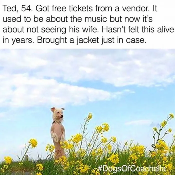 Funny Dog Bios