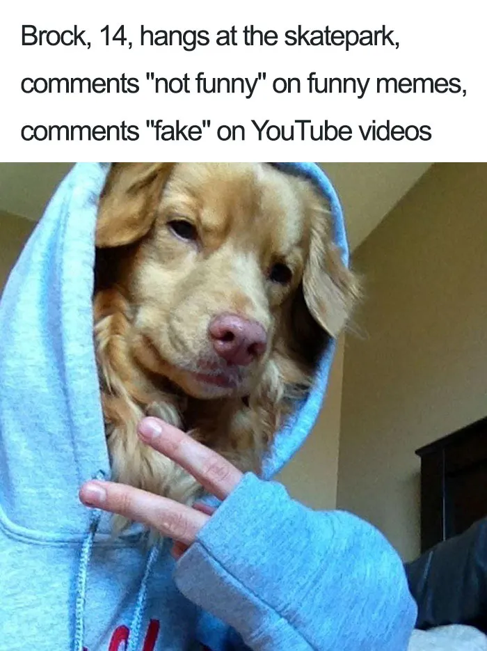 Brock The Golden Retriever