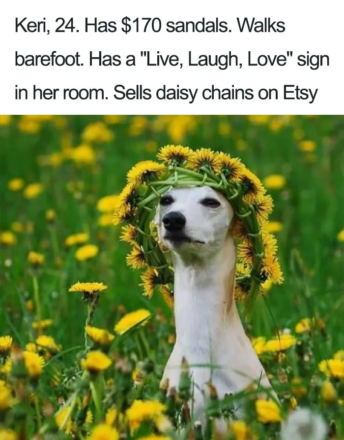 Keri The Whippet