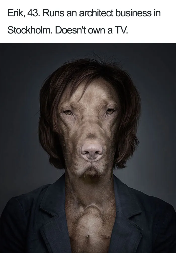 Erik The Grey Vizsla