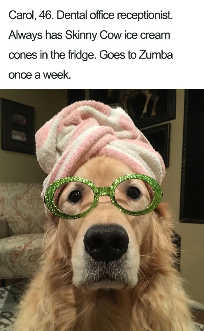 Funny Dog Bios