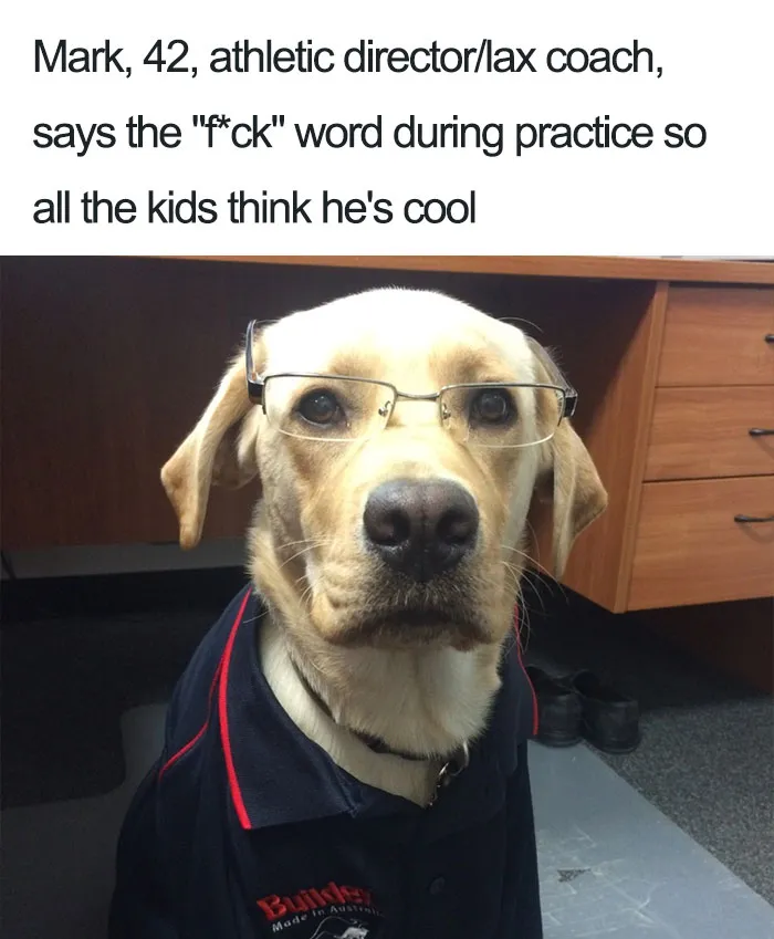 Funny Dog Bios