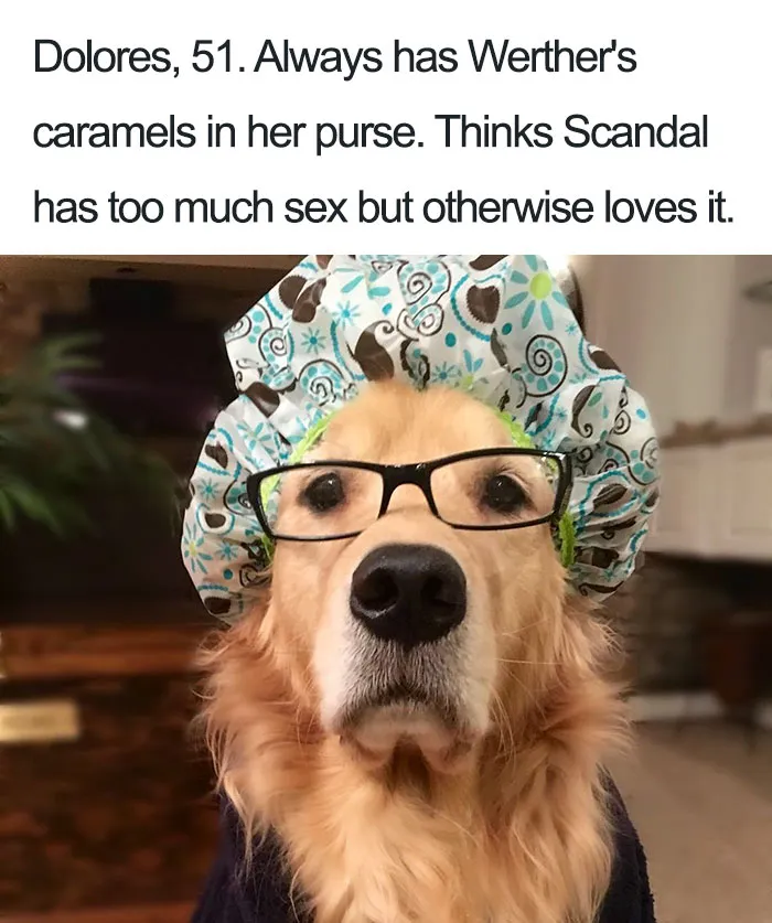 Funny Dog Bios