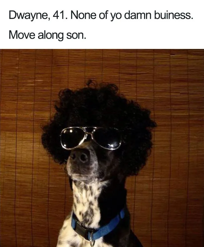 Funny Dog Bios