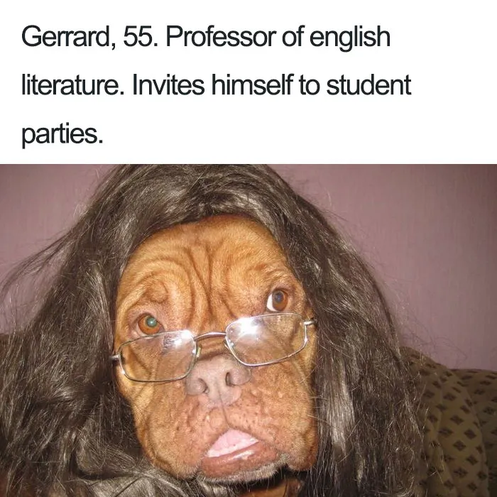 Gerrard The Hound