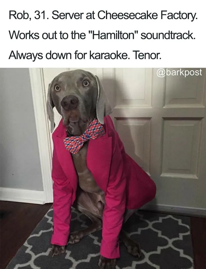 Funny Dog Bios
