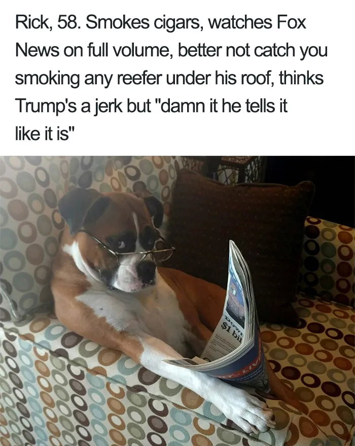 Funny Dog Bios
