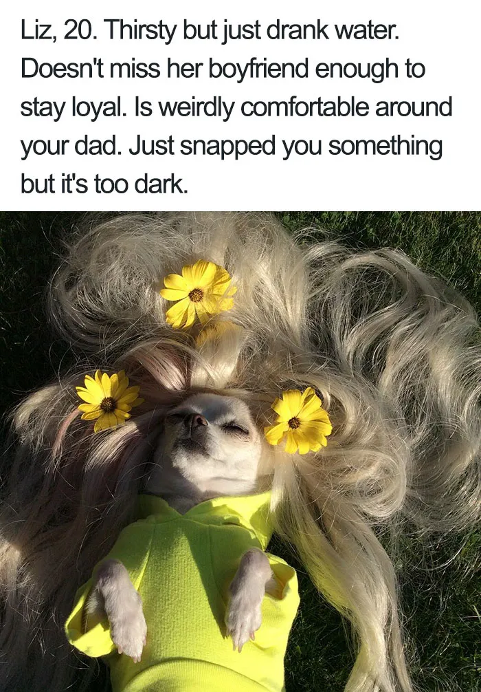 Funny Dog Bios