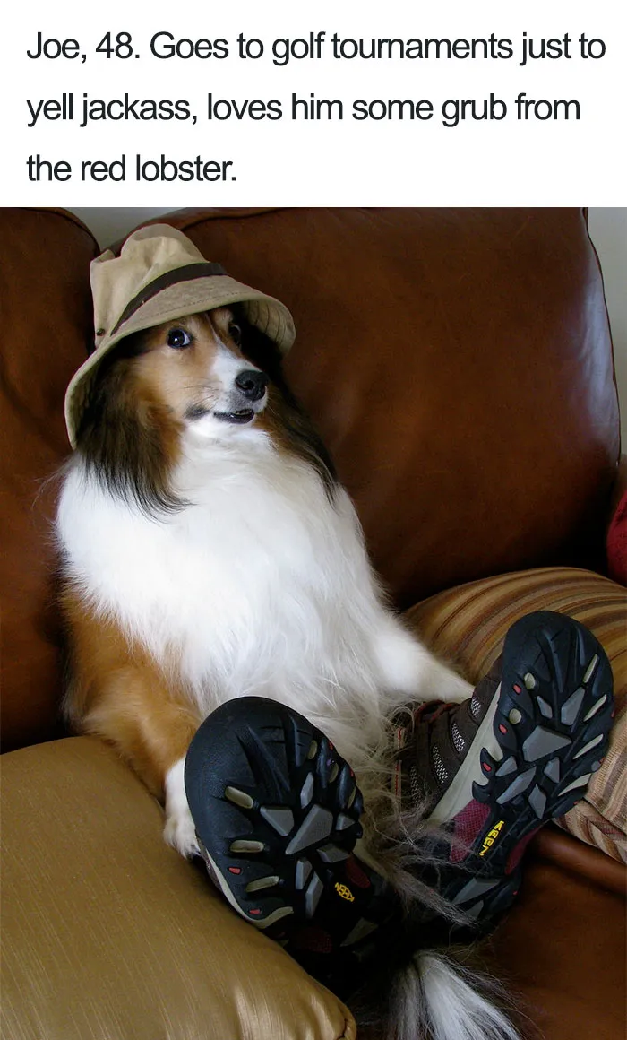 Funny Dog Bios