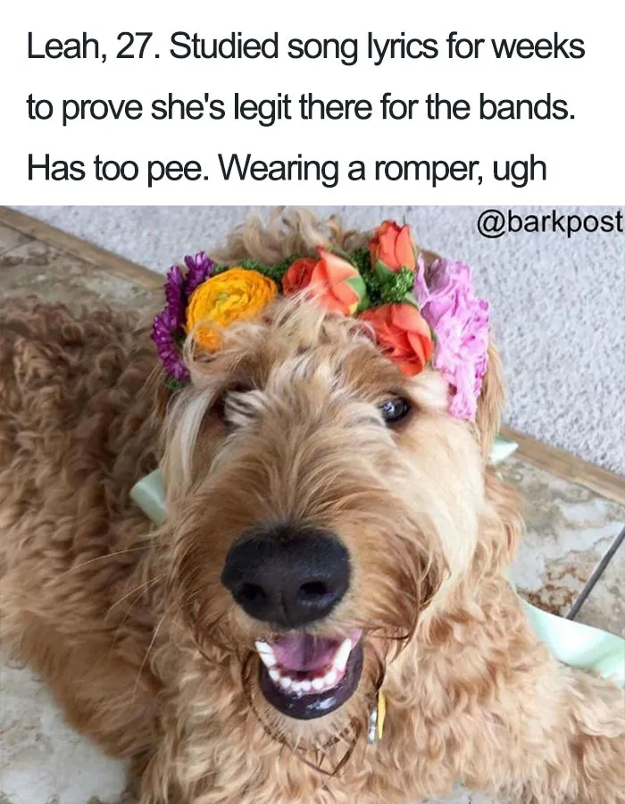 Funny Dog Bios