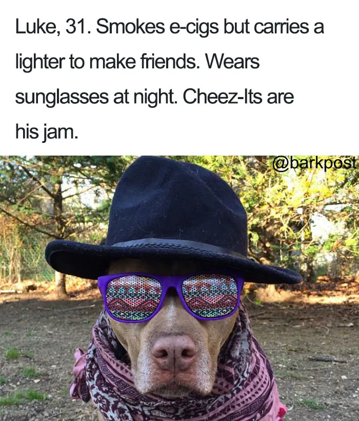 Funny-dog-bios
